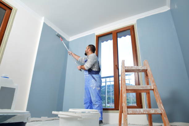 Best Real Estate Mold Inspection  in Rushvle, IL