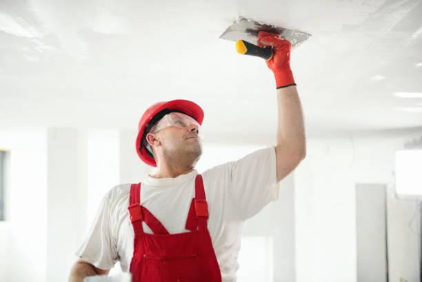Best Post-Construction Mold Inspection  in Rushvle, IL