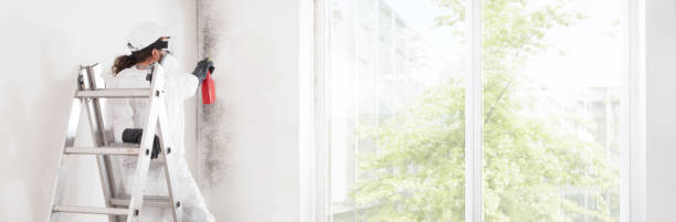 Trusted Rushville, IL Mold Removal Experts