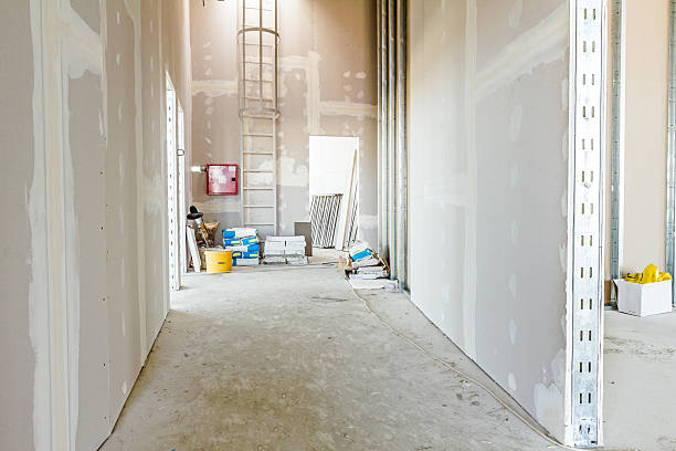 Best Mold Odor Removal Services  in Rushvle, IL