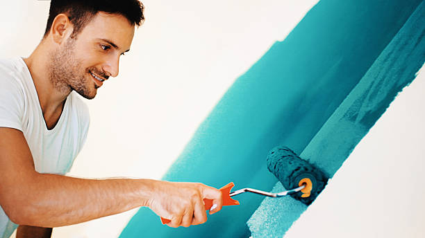 Best Attic Mold Removal  in Rushvle, IL