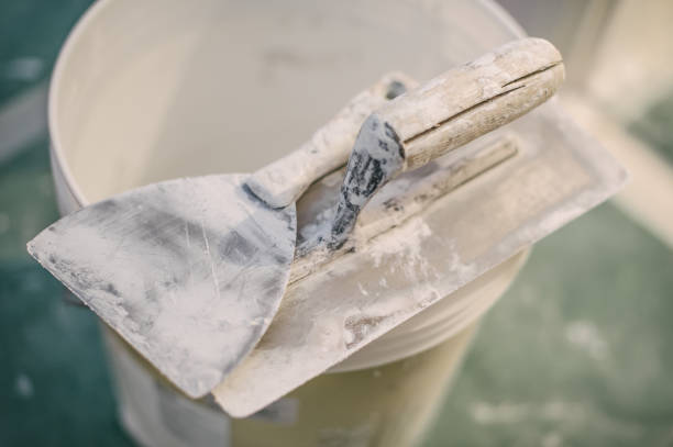 Best Residential Mold Inspection & Testing  in Rushvle, IL